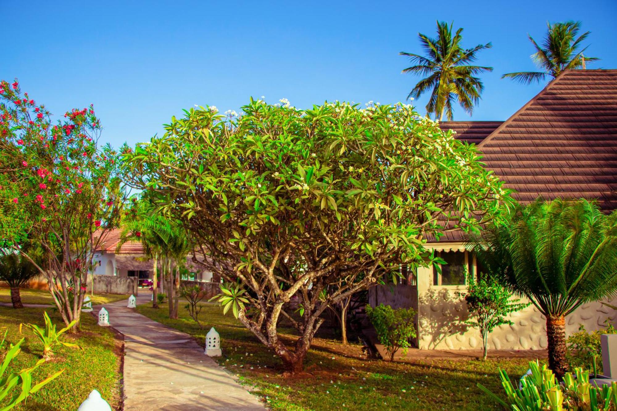 Mandarin Resort Zanzibar Kizimkazi Eksteriør billede